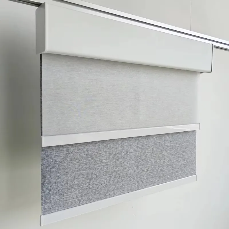 Dual Roller Shade Blackout Light Filtering Day and Night Roll up Curtain Double Layer Roller Blinds with Cassette Valance