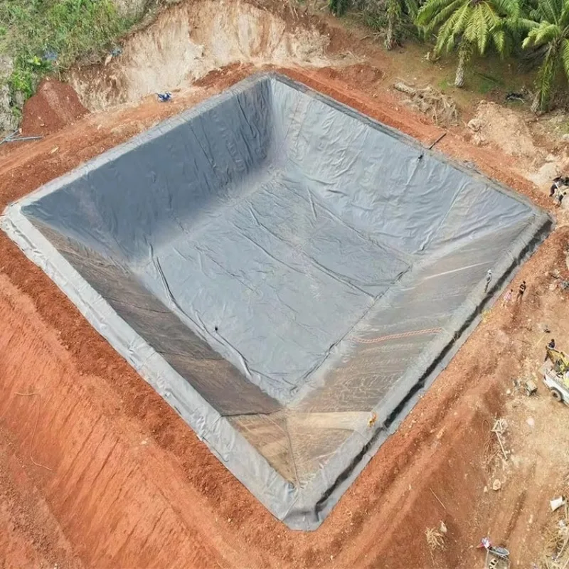 Custom Size HDPE Geomembrane Liner Price Based on Thickness Area Roll Size and Destination