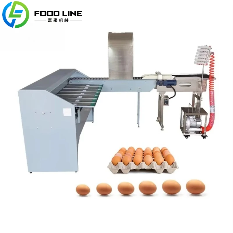 

Автоматическая система сортировки яиц с подъемным механизмом и подачей, экономящая трудозатраты, для птицефабрик