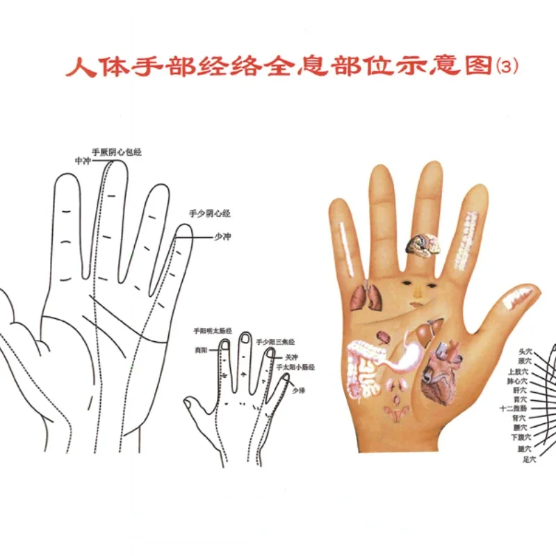 中国医学磁気治療カッピング装置のフラットヘッド気と血液トング特殊なタンク27缶アルミ合金ハードカバー