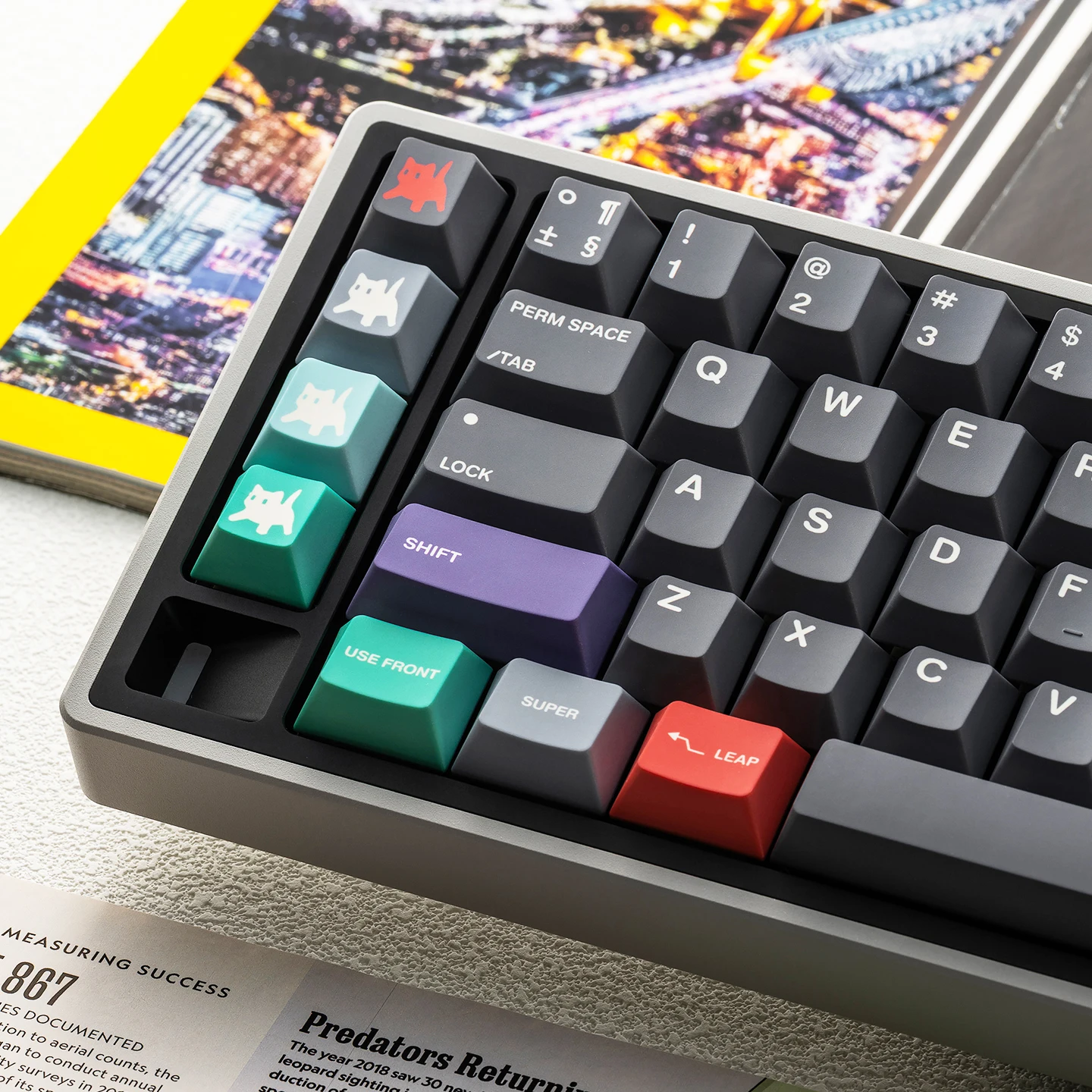 

Колпачки для клавиш FBB с милым котом, серая тема, переключатели PBT MX для вишневого профиля, механическая клавиатура, колпачок для ключей, сделай сам, подарок для девочек, женщин, друзей