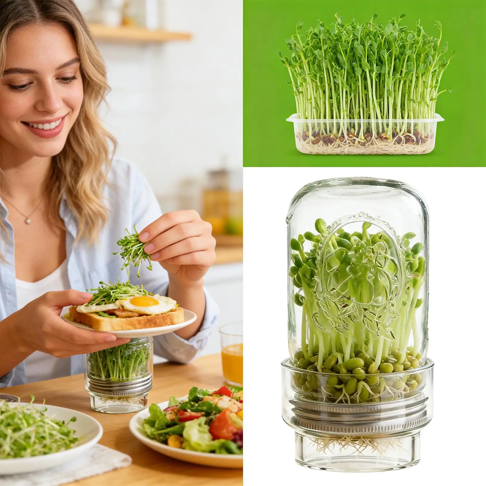 

Sprouting Jar Kit Mung Bean Sprouts Growing Broccoli Sprouts Growing Kit for Gardeners Beginners Homesteaders Kitchen Countertop