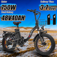 E Bike Folding 750W Powerful Motor 48v40Ah Lithium Battery Electric Bike Hydraulic Brake 20*4.0 Inch Fat Tire Electric Bicycle