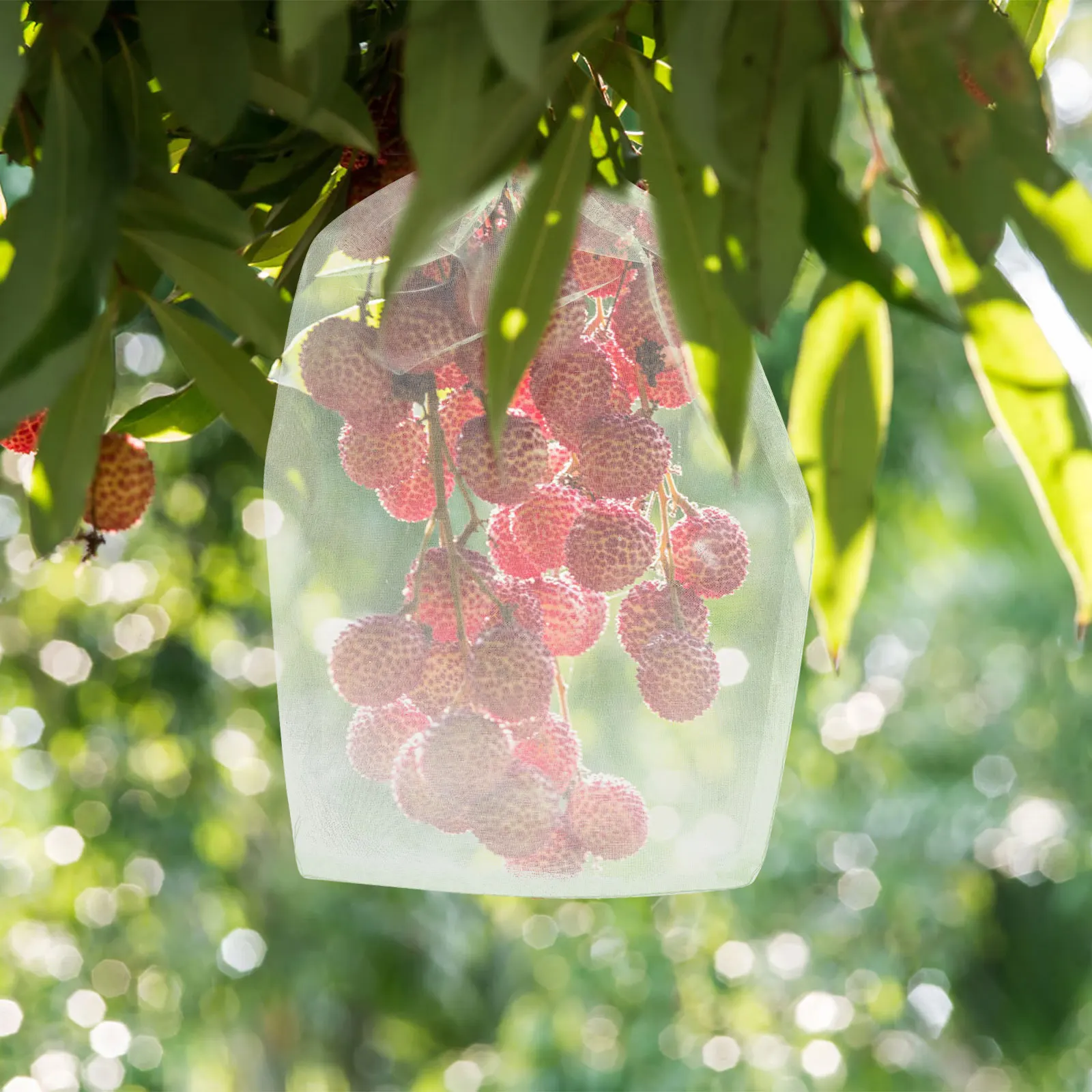 50pcs Fruit Protect Bag Drawstring Mesh Bag Strawberry Grape Anti-Bird Netting Bags multiuse Vegetable bird Repeller Garden Tool