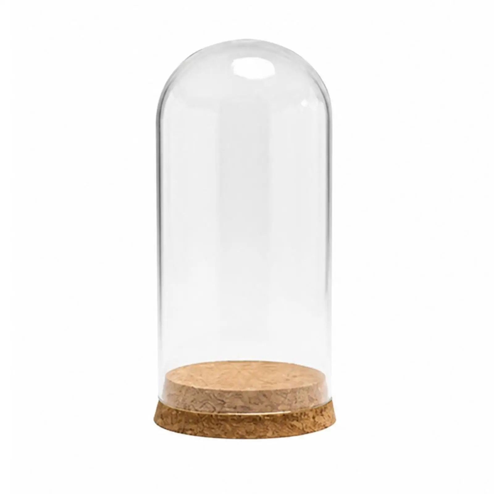 Cylindrical Glass Cloche for Preserved Flowers Figurines and Ceramic Pieces