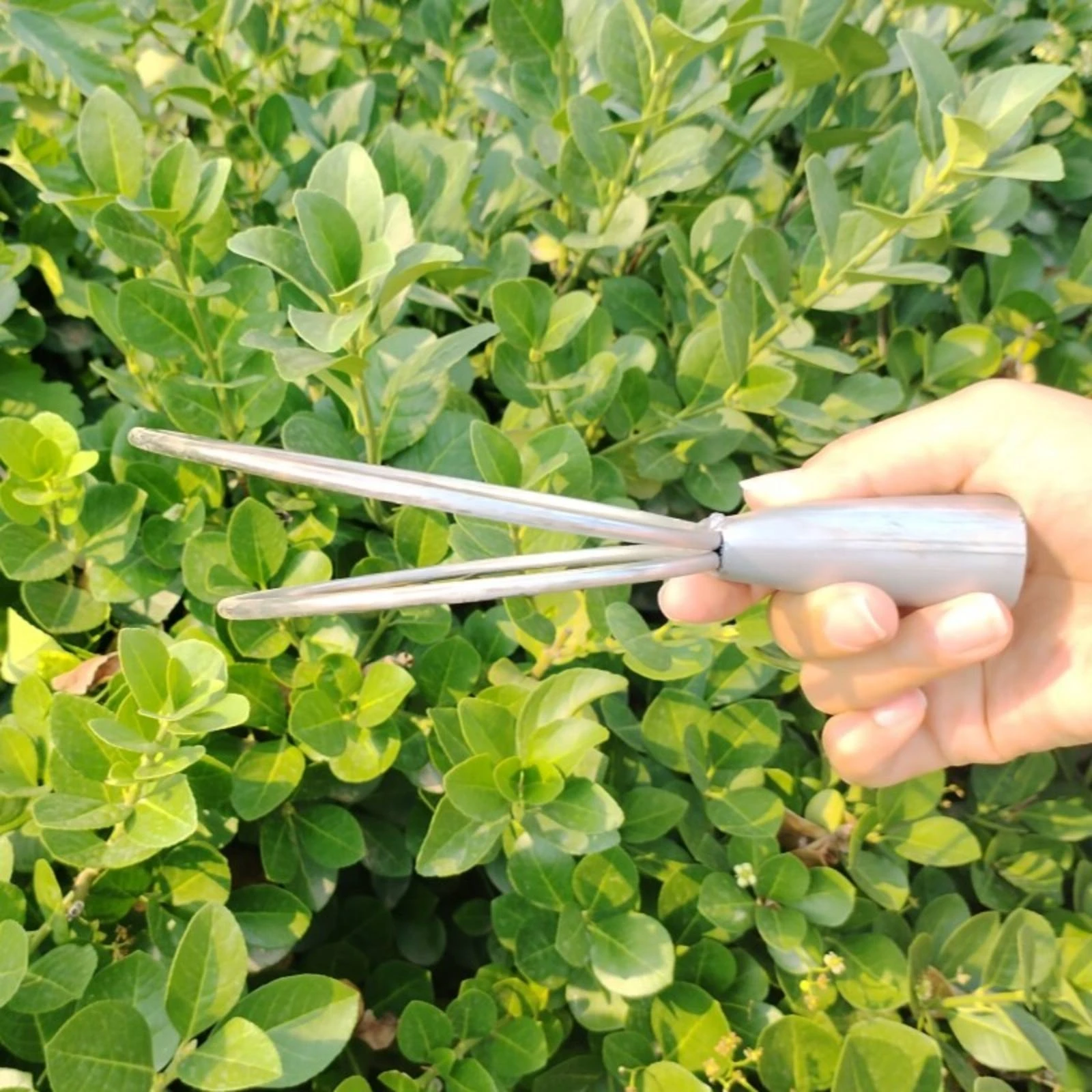 

Circular Weeder Metal Circular Loop Hoe Soil Loosening Tool Silver Finish Stirrup Hoe Easy to Use
