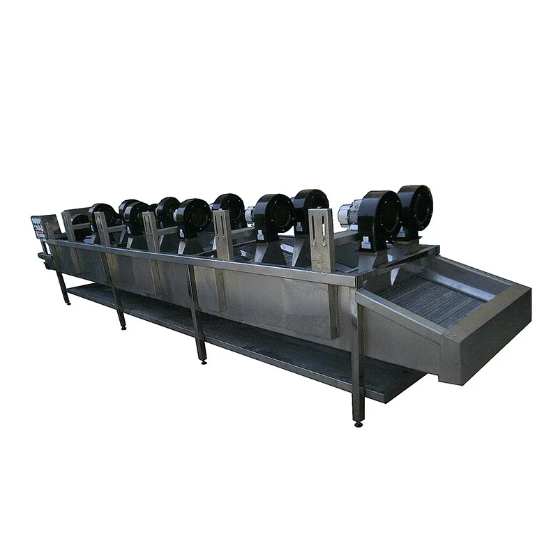 Fruit and vegetable cleaning, decontamination, air drying, cleaning and water removal equipment
