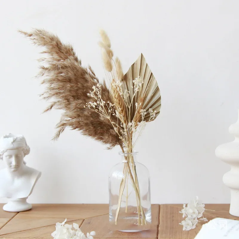 Fluffy Phragmites Pampas Natural Pampa Grass Dried Flowers LeavesReal Reed Small Palm Leaves Boho Home Wedding Party Decoration