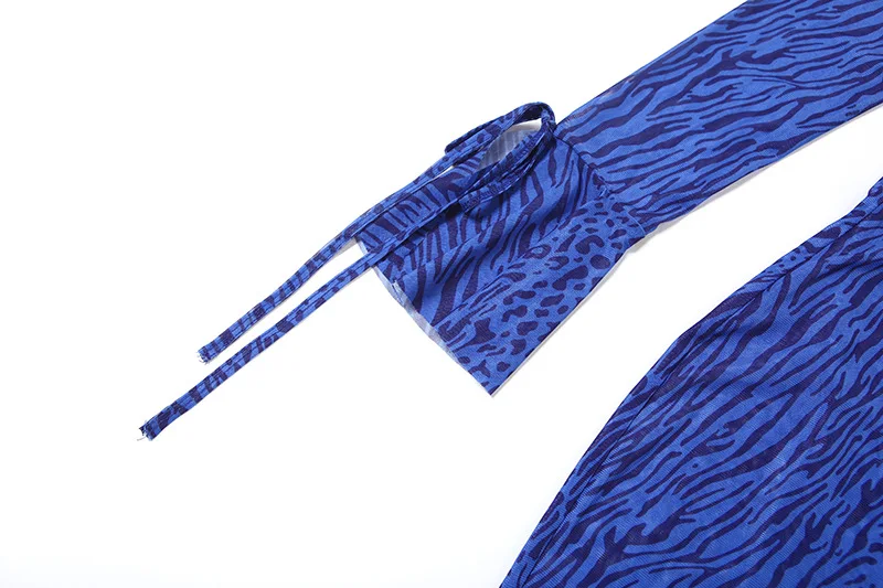 Bangniweigou sexy leopard print royal blue mesh robe women deep V-neck slim mesh long-sleeved dress evening see through gown