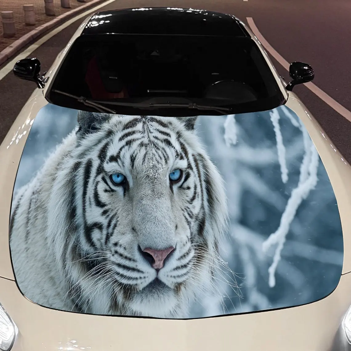 Elegant White Tiger… - image