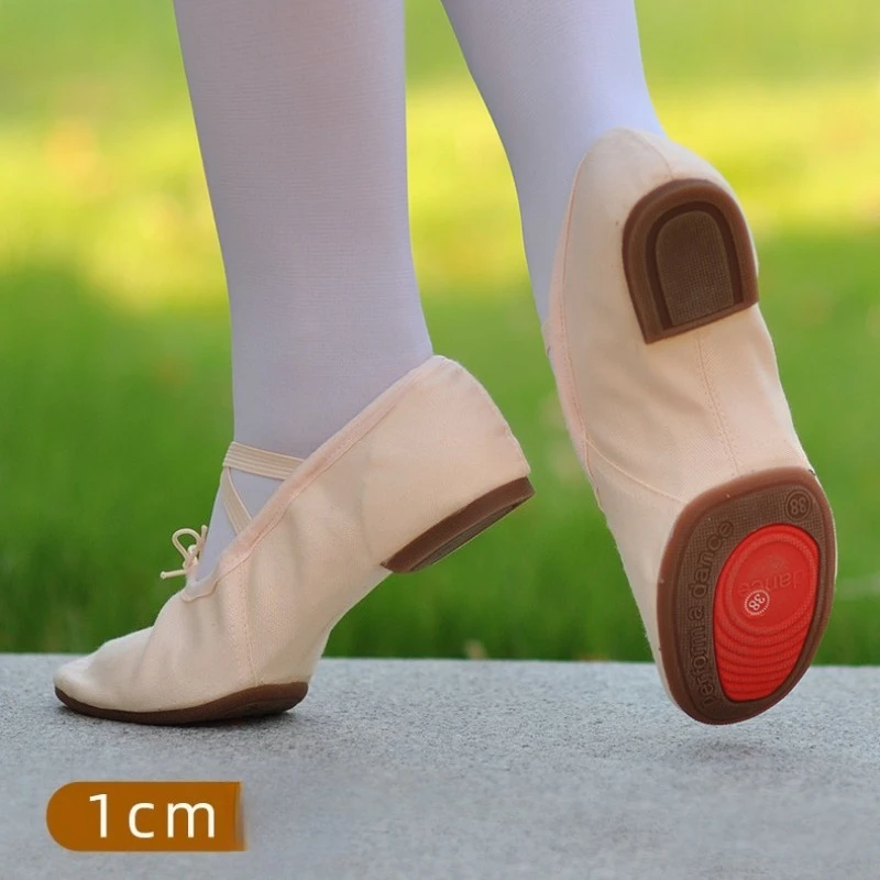 Scarpe da ballo professionali Scarpe da danza del ventre latino con suola morbida da donna Tacco medio per adulti Suola in gomma per esterni