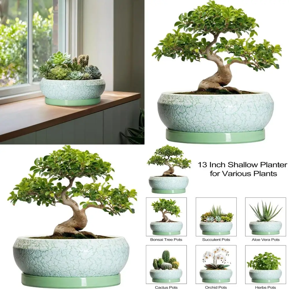 

13 Inch Ceramic Succulent Pots with Drainage, Suitable for Indoor and Outdoor Use, Shallow Planters with Saucer, Green