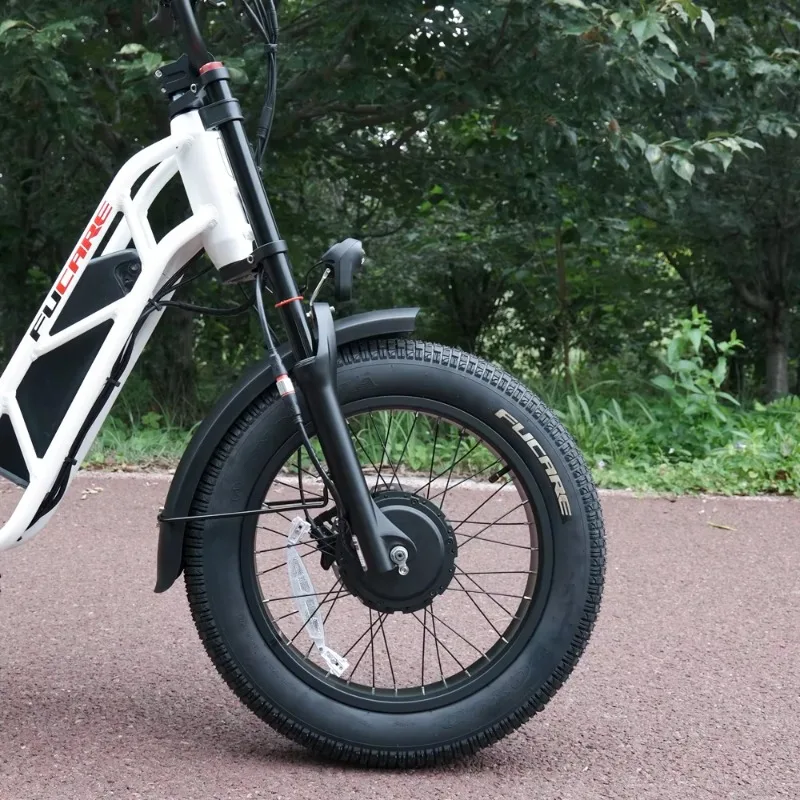 وصول جديد مباشر عالي الطاقة 1500 واط محرك مزدوج 750 واط خطوة من خلال دراجة كهربائية مع بطاريتين لمجموعة طويلة #5