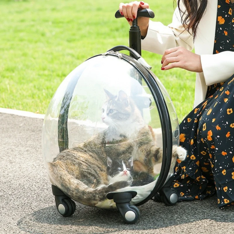 

Creative Egg Pet Trolley Transparent Cat Bag Outdoor Large Capacity Pet Space Cabin Portable Breathable Durable Pet Carriers