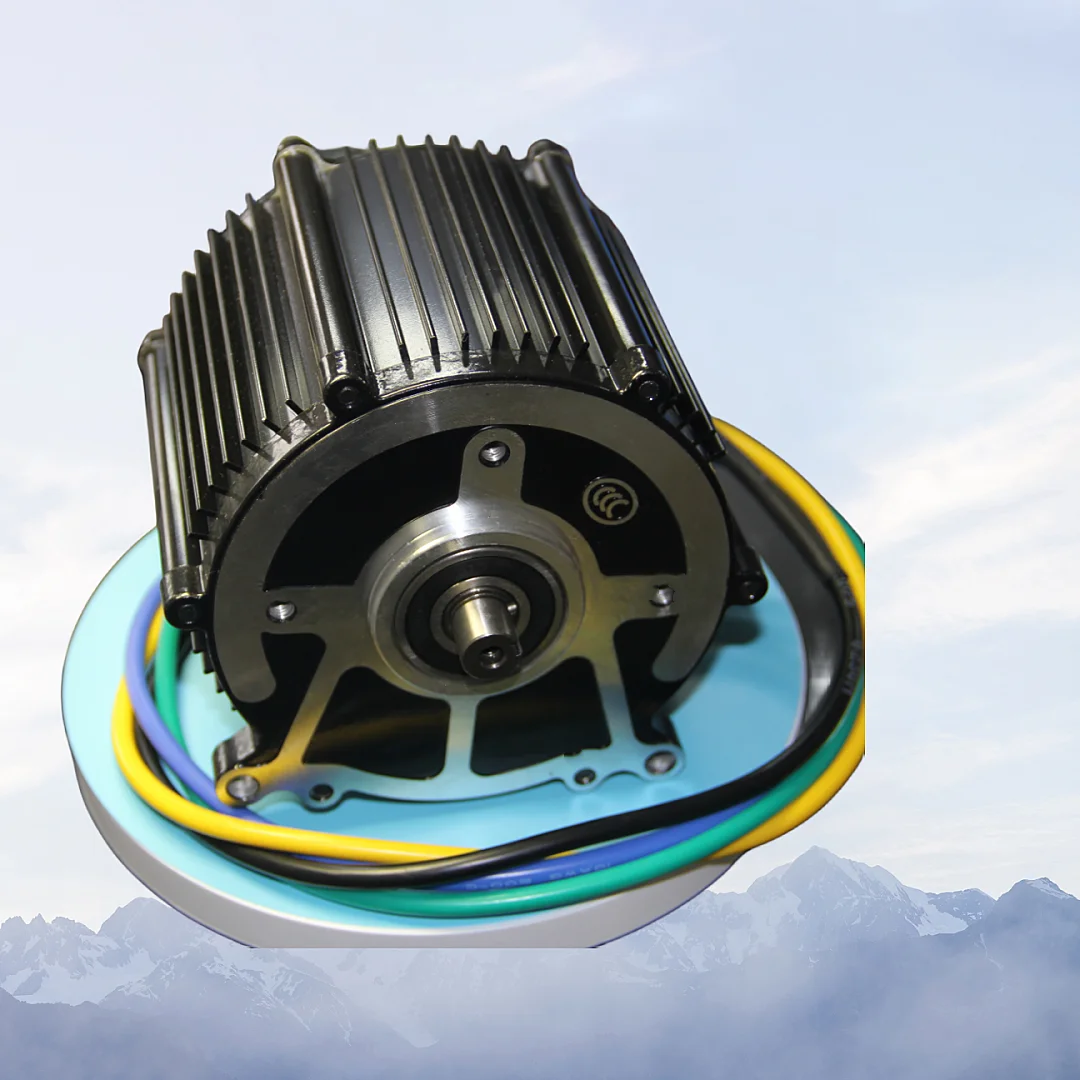 60V 2KW BLDC motor