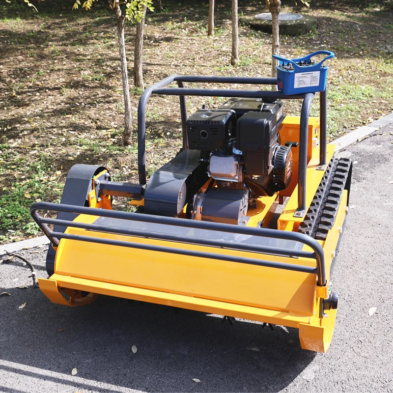 Customized Beginner… - image