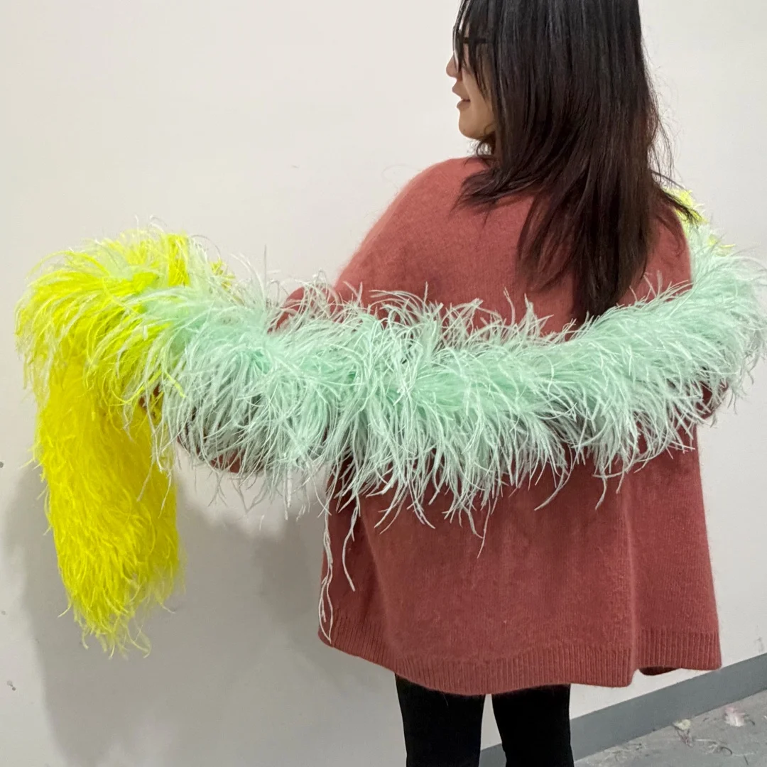 

Natural Ostrich Feathers Fluffy Boa 6-35Ply Multicolor 2M for Costume Dress Decoration Scarf Sewing Accessory