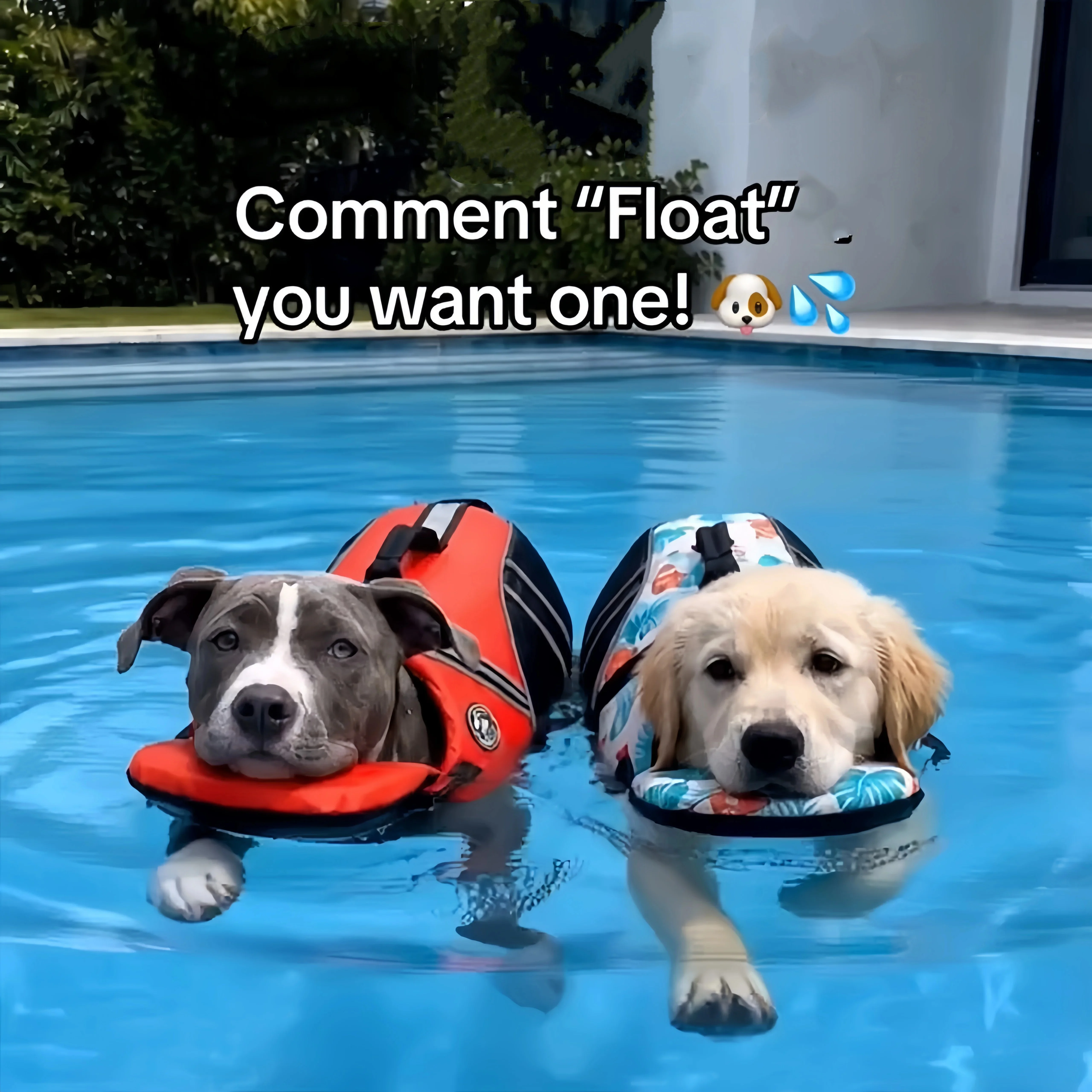 Hundeschwimmweste Mit Kinnstütze, Auftriebsanzug Für Kleine Und Mittelgroße Hunde Zur Verhinderung Des Ertrinkens J095 Sa51615936Cc6444C87Ec7Dc3965149Fa5