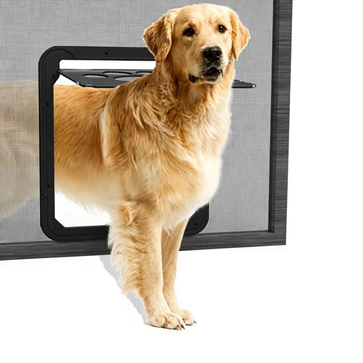 Lockable Pet Screen Door, Anti-Scratch Mesh Dog Cat Door with Paw Print, Easy Install Pet Flap for Screen Window Gate