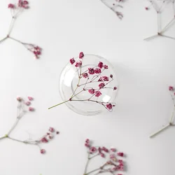 24pcs/4-6cm,pressed Gypsophila paniculata flower branches,Dried babysbreath flower DIY photo frame bookmark drip glue phone case