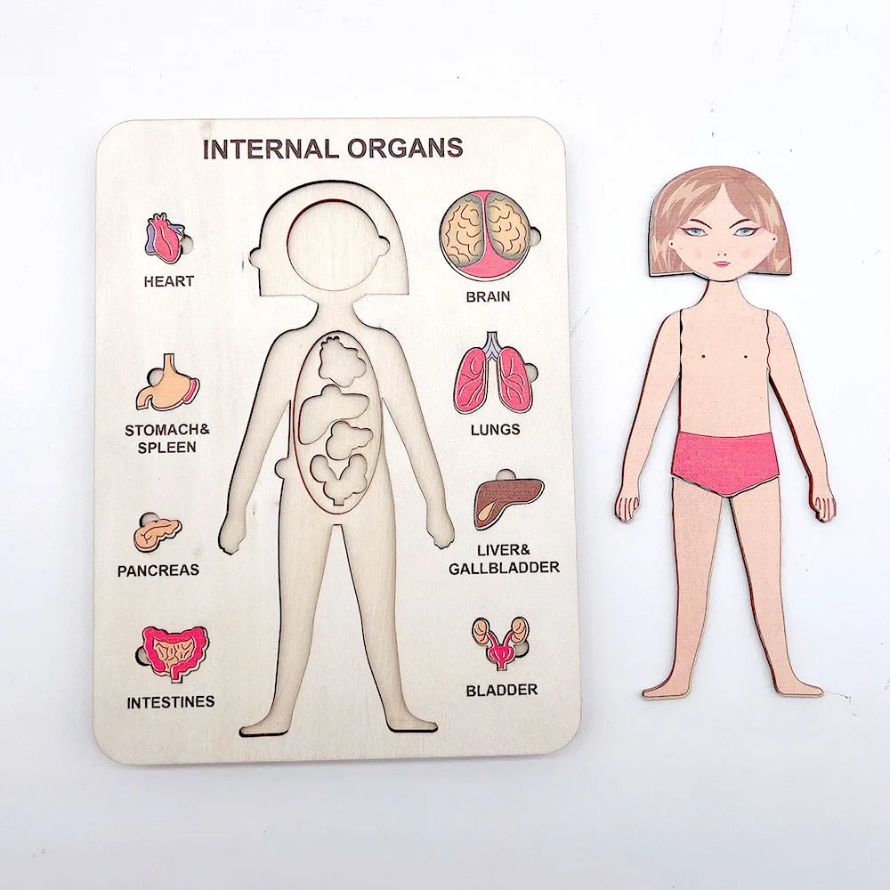 Montessori Wooden Puzzle Male Female Human Body Parts Match Board Game Puzzle Internal Organs Educational Wooden Jigsaw