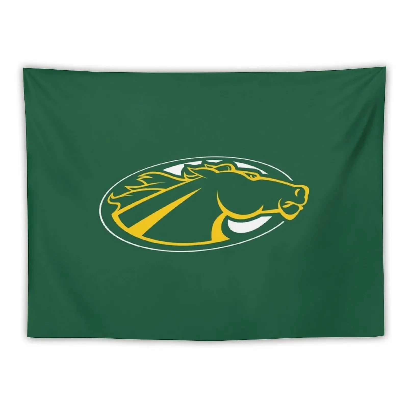 

Skidmore College Tapestry Wall Hanging Room Decoration Aesthetic Tapestry