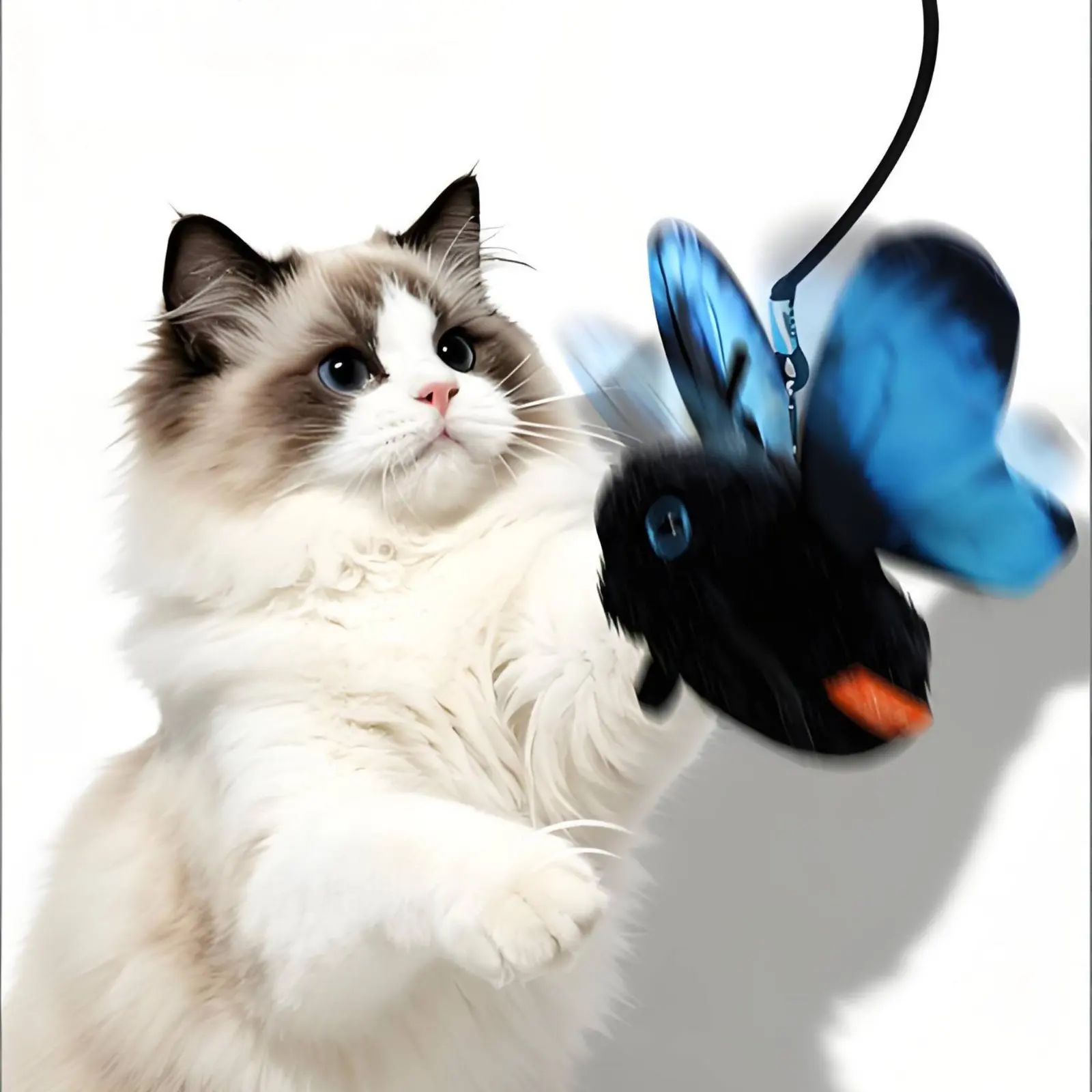 Automatisches Schmetterlings-Katzenspielzeug mit elastischem Seil, interaktives Flatter-Bewegungsspielzeug für Katzen, für drinnen