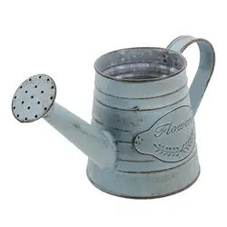 Regadera de Metal con aspersor de flores para plantas, regadera de jardín, Retro, Europeo, francés, portátil