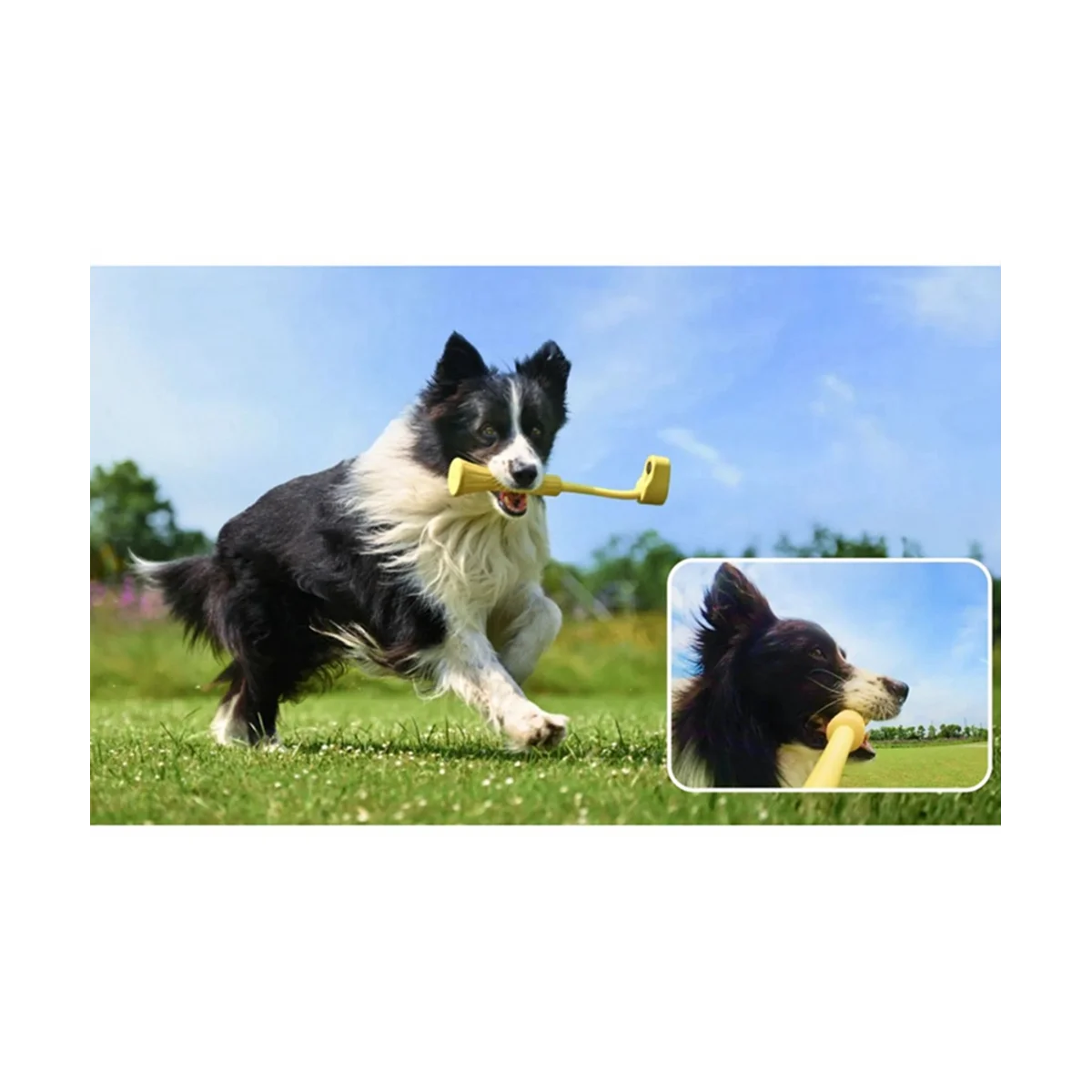 Selfie Stick para Insta360 GO 3, Pet Boca Mordida, Acessórios Profissionais, Perspectiva Única Material de Borracha, Registro