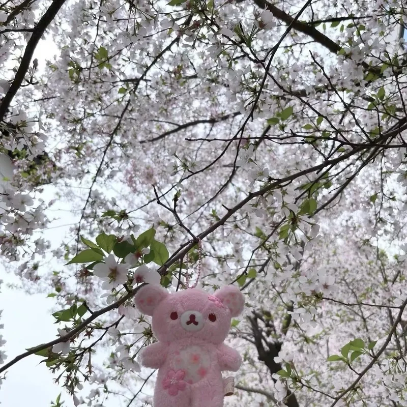 Sakura Floral Bear Plush Toy Soft Stuffed Cuddly Sleeping Hug Pillow Home Decoration Birthday Gift For Adult Women view 6