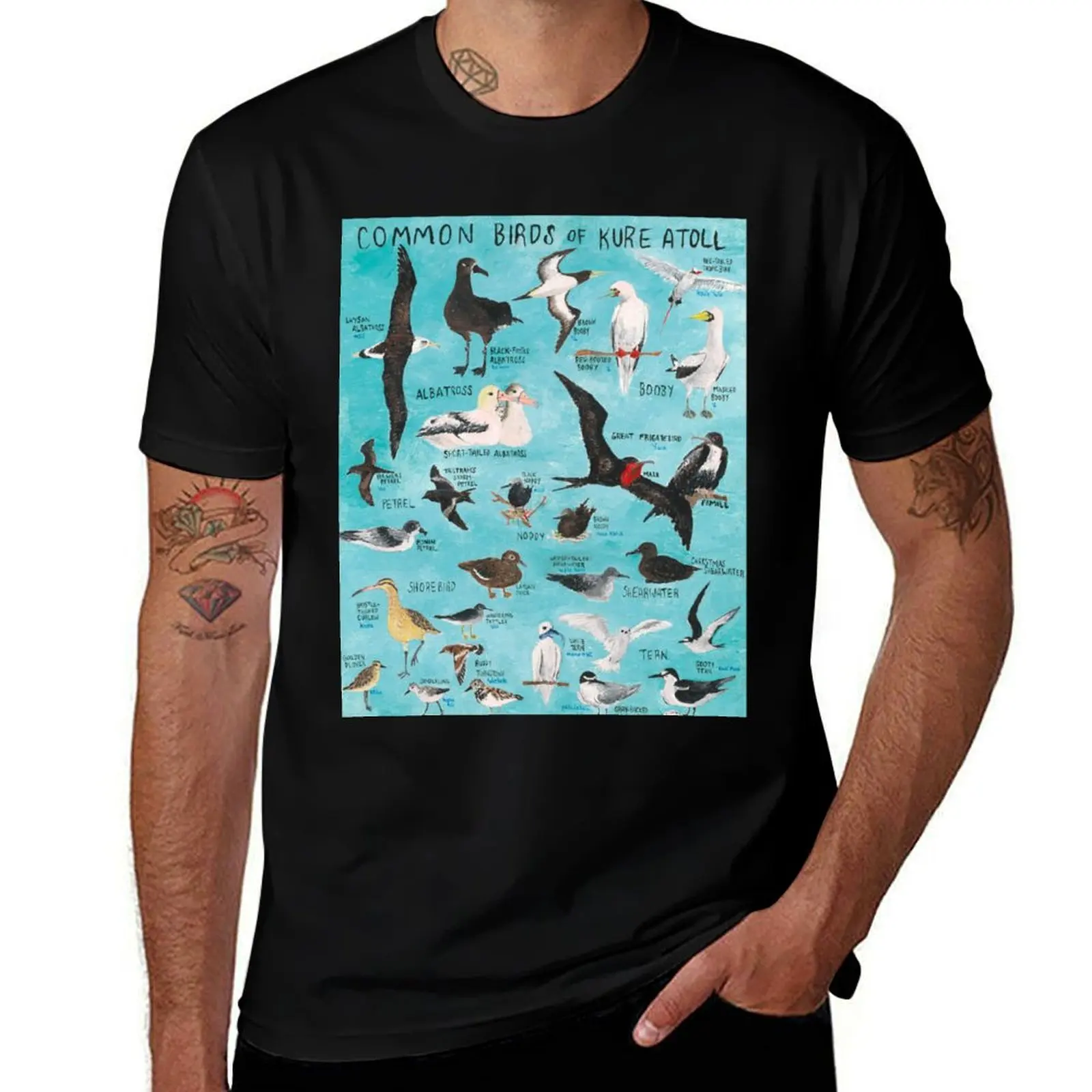 

Common Birds of Kure Atoll T-Shirt mens graphic t shirts cotton tshirt 100% t shirt man cotton T-shirt