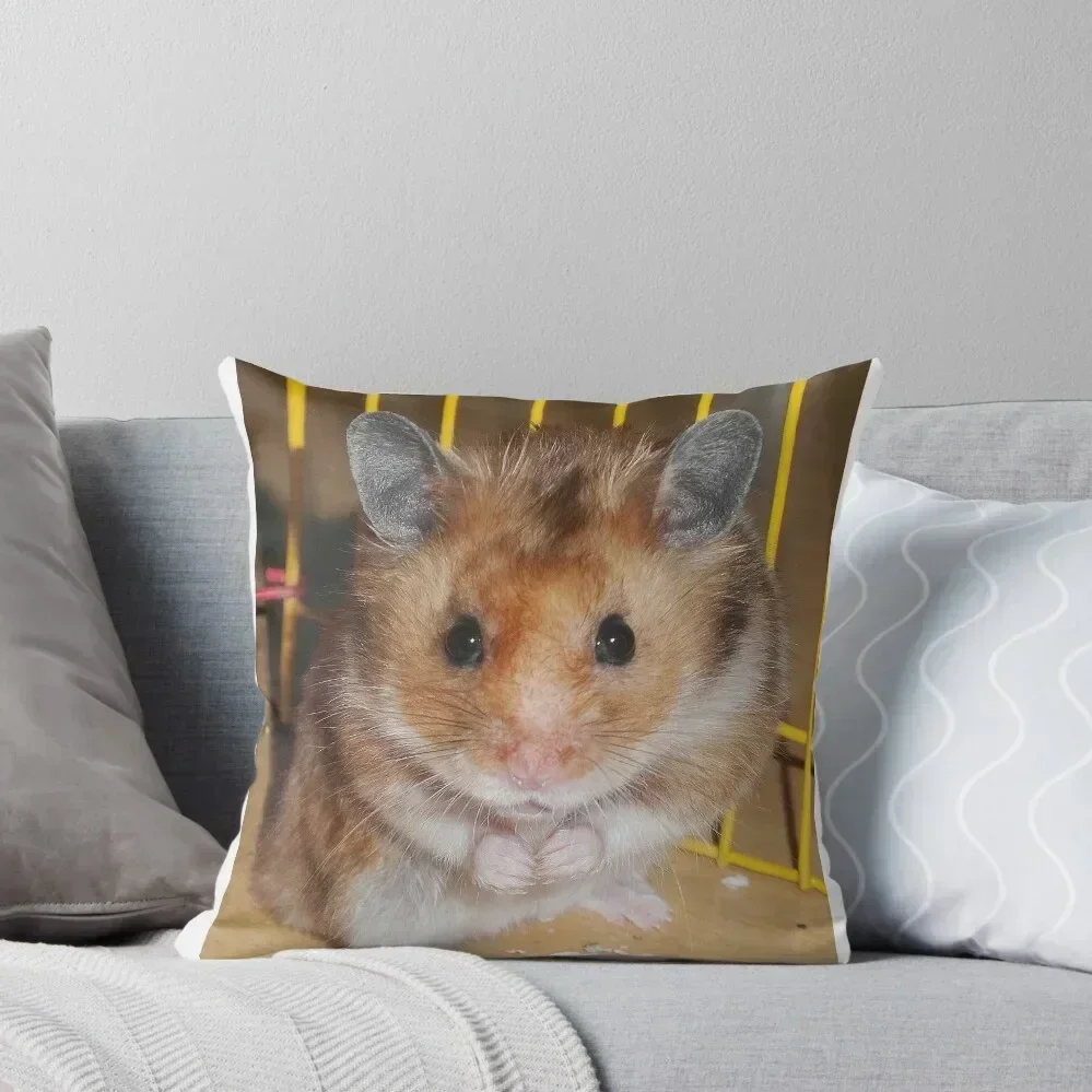 

Hamster Barney Throw Pillow Decorative Cushion Custom Cushion Cusions Cover pillow
