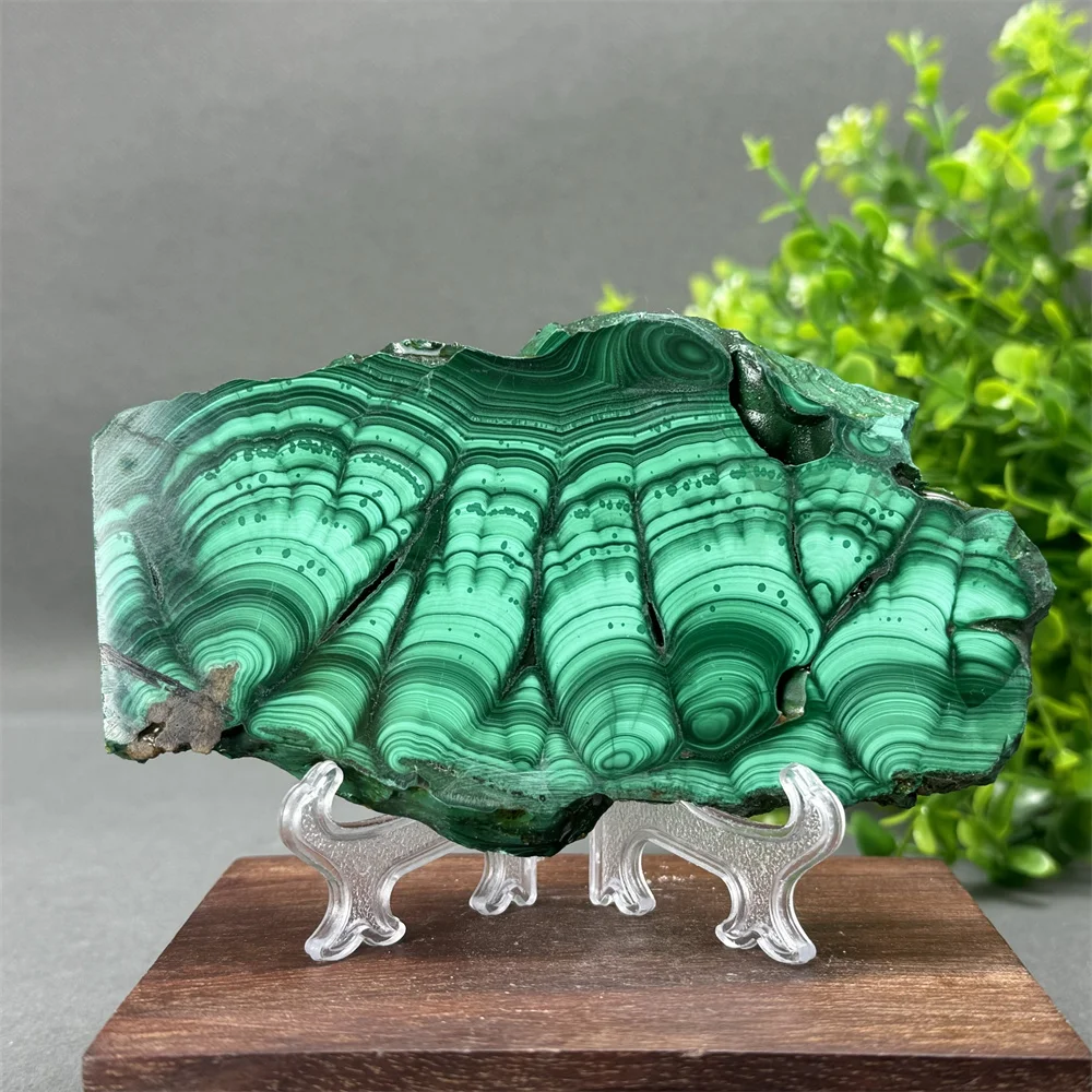 Natural high quality malachite raw stone slice polished reiki healing gemstone slate home decoration meditation chakra