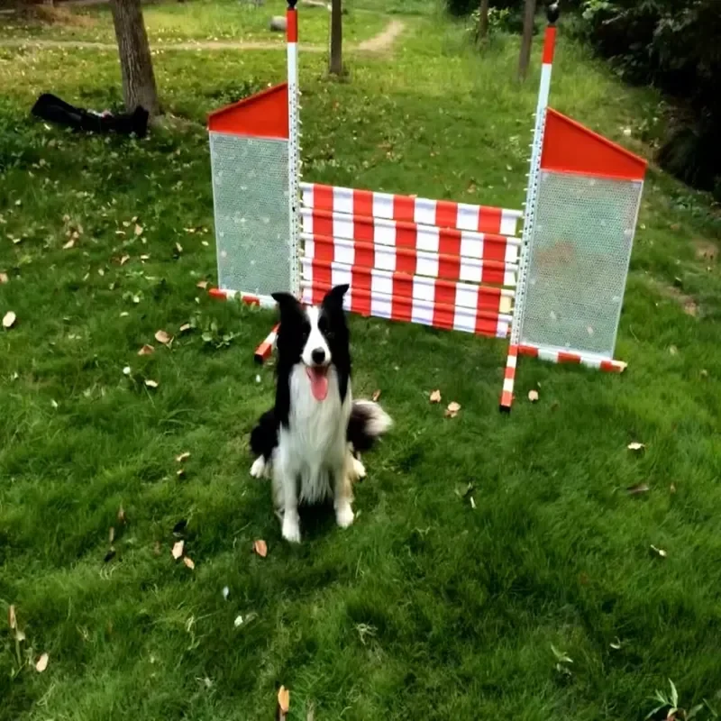 

Outdoor USA Style Dog Agility Training Equipment Metal Obstacle Pet Dog Agility Hurdle Wing for Dogs