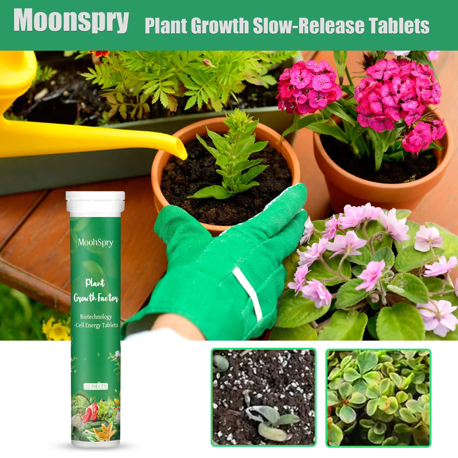 Universal Universal Indoor Potted Plant Fertilizer Slow Release Organic Nutrient with Nitrogen And Phosphorus for Flowering Succulents - Aliexpress Deal