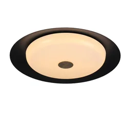 Aisilan LED Surface Mounted Ceiling Lights Nordic Lamp Led Living Room Lights Led Ceiling For Bathroom Foyer Dining Room E27