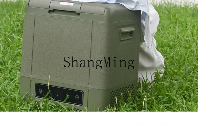 ZYY frigorifero per auto, casa, doppio scopo, conservazione degli alimenti all'aperto, piccolo congelatore ricaricabile