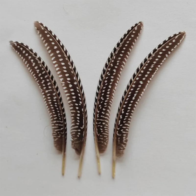 30Pcs Guinea Fowl Wing Feathers,Natural Black Brown Polka Dot  Guinea Curved Quills for Millinery,15-20cm