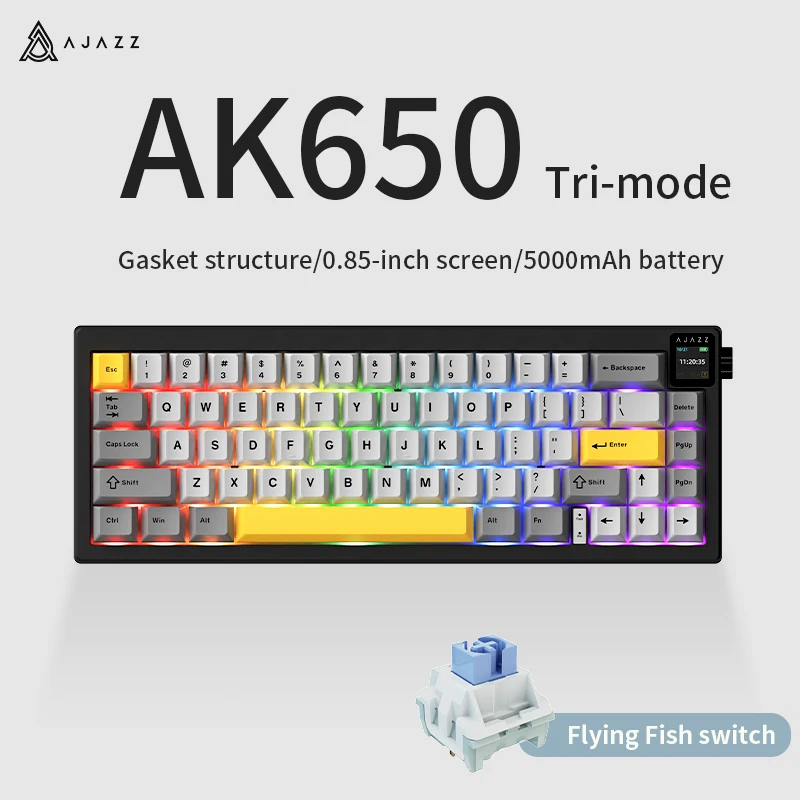 AK650 65-toetsen gamingtoetsenbord: Flying Fish/Dream Weaver-schakelaars, RGB-achtergrondverlichting, 3 modi