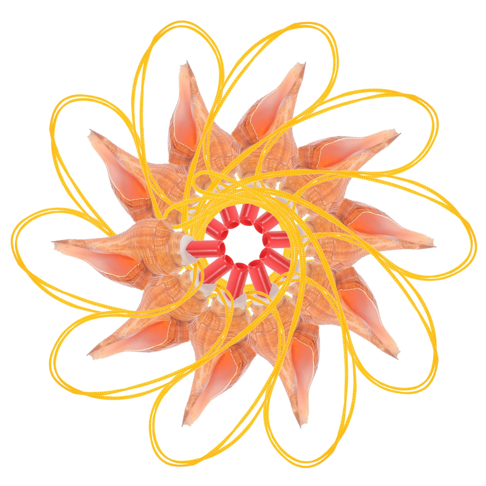 

10Pcs Conch Shell Whistles Decorative Noise Makers Portable Travel Souvenirs Unique Outdoor Training Party Favors