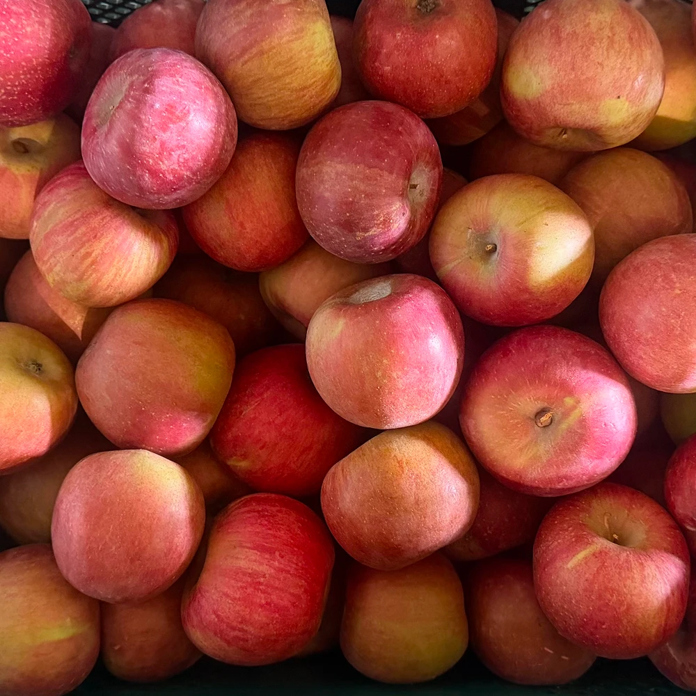 Mehr anzeigen — Früchte & Beeren