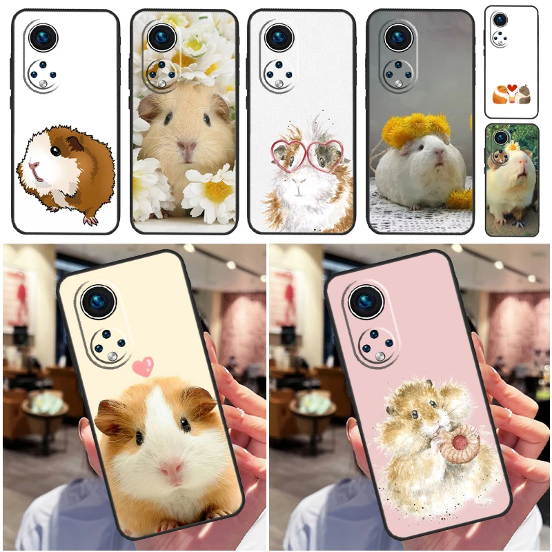 Animal Guinea Pig C… - image