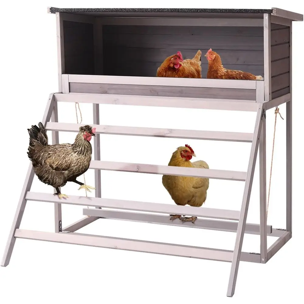 

Coop Accessories with Asphalt Roofing, Laying Boxes, Stairs, Nesting Egg Boxes, Leisure Swing for Hens