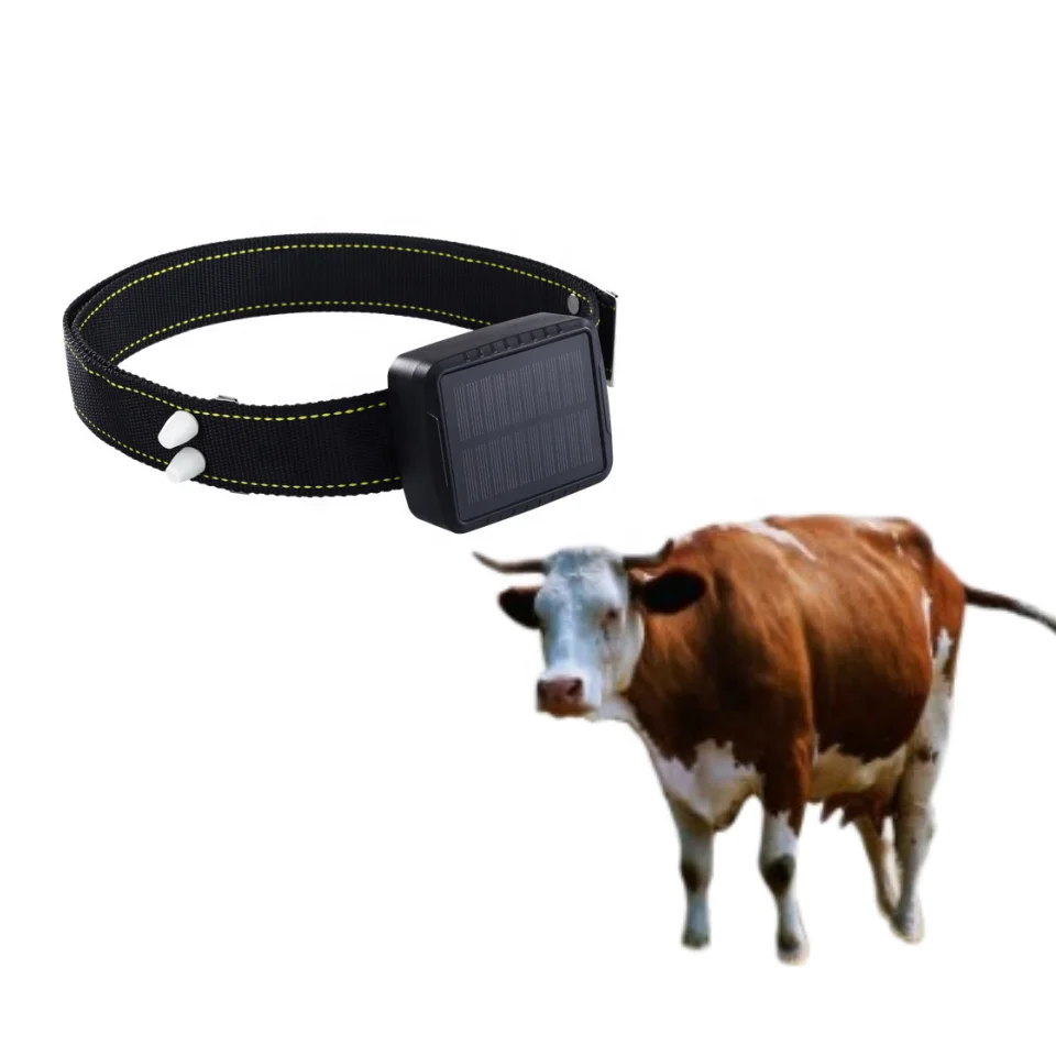

Animal Tracker 4G Cattle Cow and Sheep Locator Collar Animal Tracker GPS Real-time Tracker GPS Grazing Waterproof Anti-theft