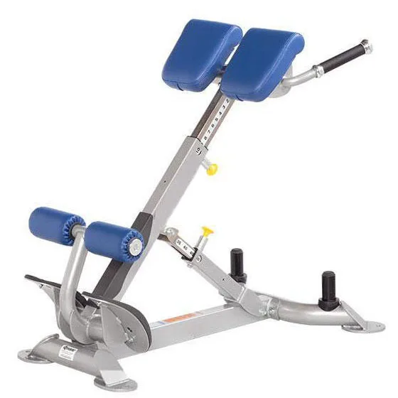 

Factory Price Equip Gym Fitness Strength Training Equipment Metal Gym Back Exercise Back Machine Roman Chair Fitness Roman Chair