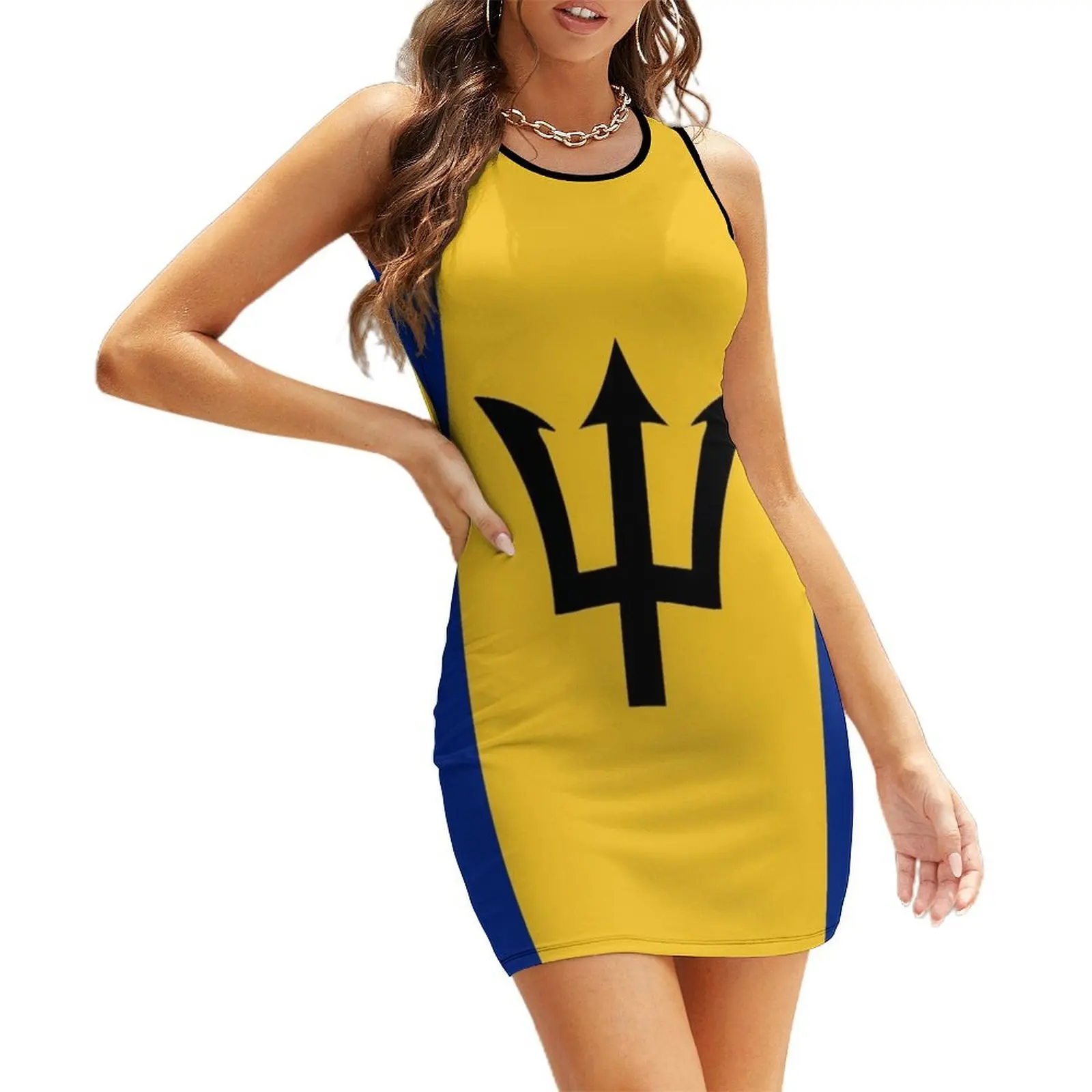 

Barbados Flag Sleeveless Sundress elegant dresses for women sexy dress for women women evening dress