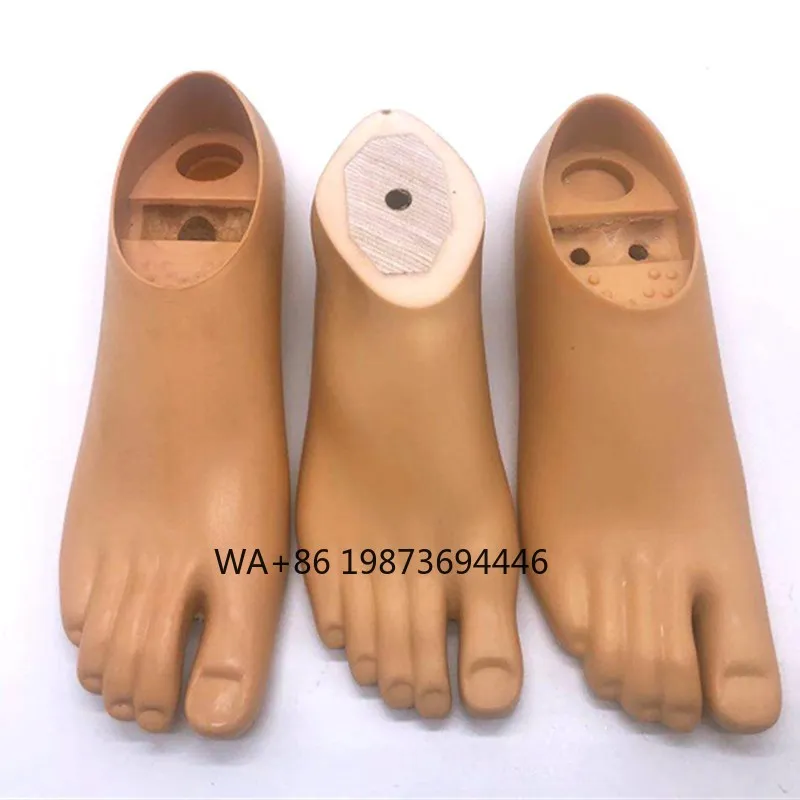 

Prosthetic Leg Implant Parts Artificial Limbs Foot , Prosthetic Foot , Sach Foot