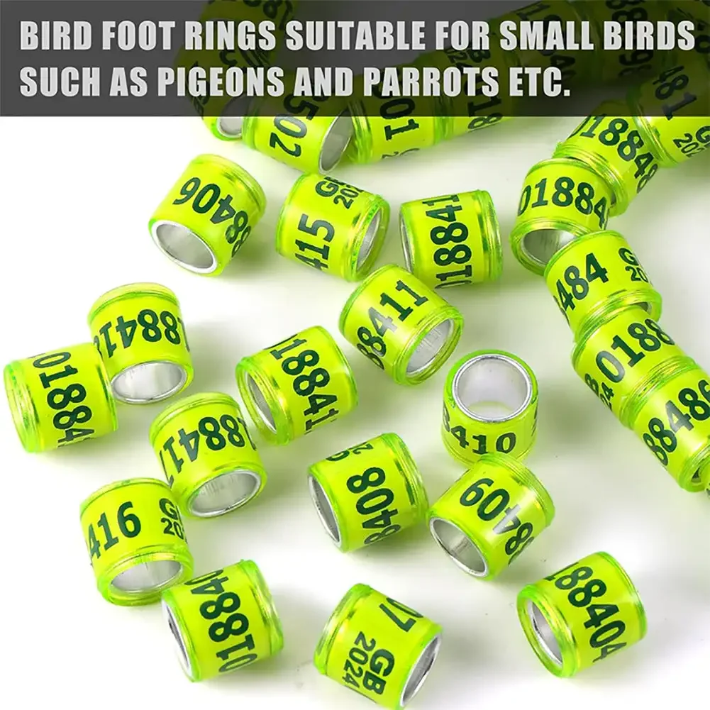 50 Pcs 2024/2025 Pigeon Foot Ring Bird Foot Ring Durable with Word Racing Pigeon Marking Ring Aluminum Plastic Ring Bird Tools