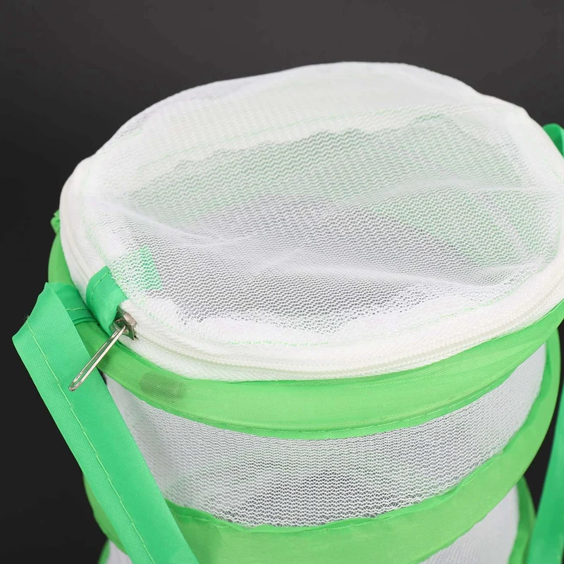 3X tongkat Mantis kecil, kandang kupu-kupu kupu-kupu