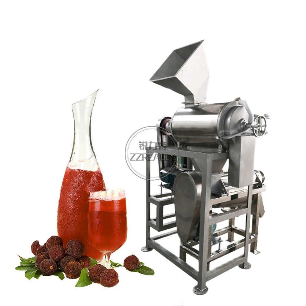 Industrial  Complete Mixed Bayberry  Cherry Seeds Removing  Juicer Extractor Machine Electric Full Set